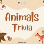 Animal Trivia Question & Answers